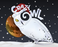 Crazy Owl Christmas